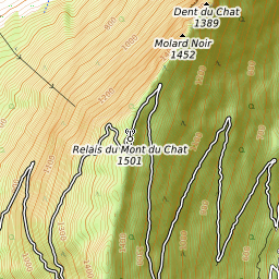 Dent Du Chat Weather Forecast 1390m